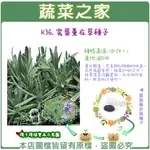 【蔬菜之家】K36.寬葉薰衣草種子(共有2種包裝可選)