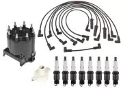 ACDelco Ignition Kit Distributor Rotor Cap Wire & Spark Plugs for Caddy Chevy V8