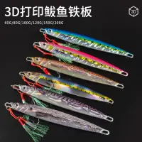 在飛比找蝦皮購物優惠-【華派小舖】3D打印鐵板海釣船釣深海仿生魚路亞鐵板餌60g1