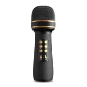 TEGAL Hifi Vocal Bluetooth Karaoke Microphone