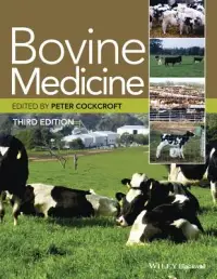 在飛比找博客來優惠-Bovine Medicine