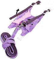 ifundom 1Set Halloween Bunny Harness and Leash Rabbit Traction Harness for Safe Walking Lightweight Escape Design for Rabbits and Pets for Halloween