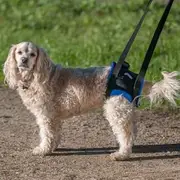 Walkabout Back End Harness (Medium Large)