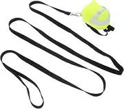 HOLIDYOYO Reptile Walking Leash: Lightweight Adjustable Harness - Portable Harness for Bearded Dragon Lizards and Small Pets Outdoor Travel