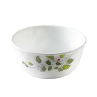 在飛比找蝦皮商城優惠-【康寧 Corelle】 綠野微風900ml拉麵碗