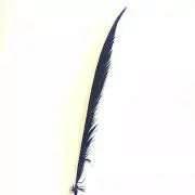 Golden Pheasant Centre Tail Feather x 10 pcs - Eggplant ((BULK PACK))