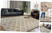 Fluffy 3x5 Area Rug, Super Soft Rugs for Living Room, Small Plush Indoor