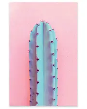 iCanvas Lonely Cactus Print on Acrylic Glass by Emanuela Carratoni