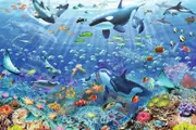 Ravensburger - Underwater Puzzle 3000pc