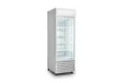 Single Glass Door Colourbond Upright Drink Fridge - LG-370GT