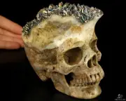 Rainbow 5.5" Quartz Rock Crystal Carved Crystal Skull, Super Realistic, Healing