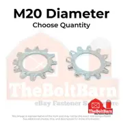 M20 Class 10 External Tooth Lock Washers Zinc Clear (Pick Quantity)