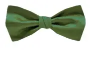 Boy's Green Solid Satin Pre-Tied Bowtie for Schools - Weddings- NWT