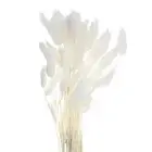 20Pcs Pampas Artificial Grass,17" Fake Pampas for Wedding Decorations, White
