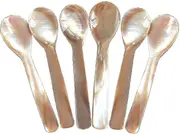 Set Of 6 Mother-of-pearl 11.5 Cm X 3 Cm Mop Caviar Spoons With Round Handle