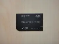 在飛比找Yahoo!奇摩拍賣優惠-【康泰典藏】SONY Memory Stick PRO Du