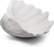 Extra Large Clam Shells Decorative Bowl-White Sea Shells Decorative Storage Bowl