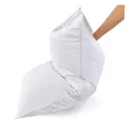 Goose Feather Bed Pillows Standard Size Set of 1- Standard (Pack of 1) White