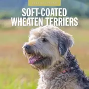 Soft-Coated Wheaten Terriers 2025 Square Wall Calendar Animals 16 Months Planner