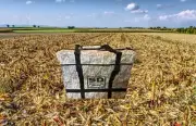 SnowDown Decoys Silhouette Bag. Canada, Snow Goose, WindSock, Sock Bag