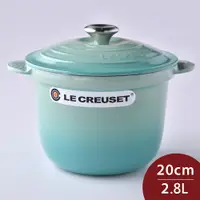 在飛比找PChome24h購物優惠-Le Creuset 萬用窈窕鑄鐵鍋 薄荷綠 20cm