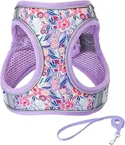 XS Light Purple Flower Pattern Dog Harness and Leash Set,No Escape Easy Walk Puppy Harnesses for Training Walking，Breathable Adjustable Puppy Vest for Small Medium Dogs, Cats (Light Purple, XS)
