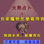 【不準包退 回復迅速】大眾占卜、準到離譜、寵物想對你說的話、你家寵物想跟你說啥、寵物對話、毛孩子對話、寵物溝通、你的訊息