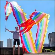 Dragon Dance Silk 3D Dragon Dance Ribbon Rainbow Throw Streamer Fitness Light Flowy Dragon Dance Ribbon Artistic Gymnastics Ribbon (Size : Length 8m/26ft)