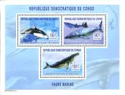 Marine Animals - Perforated - Collective block