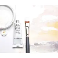 在飛比找蝦皮購物優惠-Winsor&Newton Gouache 37ml ZIN