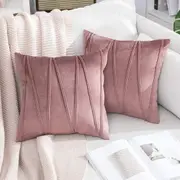 2x Velvet Throw Pillows for Couch Bed Sofa (Inserts + Pillow Covers, Jam)