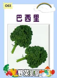 在飛比找Yahoo!奇摩拍賣優惠-【野菜部屋~】O03 日本巴西里種子0.7公克 , 俗稱荷蘭