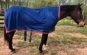 Paddock Sport Custom High Neck Mesh Horse Cooler - Royal Blue
