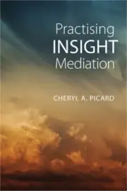 Practising Insight Mediation (Hardback or Cased Book)
