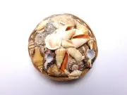 Sea Shell Basket Real Seashells 6 inch Wicker Basket 1lb Assorted Shells