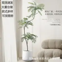 在飛比找樂天市場購物網優惠-仿真藍花楹客廳大型落地植物裝飾盆栽擺件室內輕奢綠植仿生花假樹