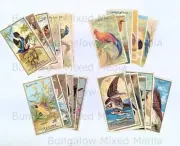 6pc BIRDS Junk Journal Large Tags Tuck Card Vintage Ephemera 5" x 2.5" YOU PICK