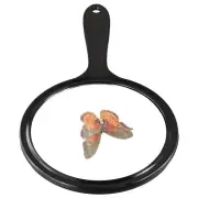Black Makeup Glass Compactness Circular Mirror Hand Held Glass Outside