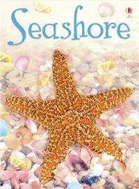 在飛比找三民網路書店優惠-Usborne Beginners: Seashore