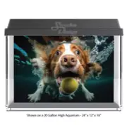 Underwater Dog Tan Ball Polyester Fish Tank Glass Backdrop Aquarium Background