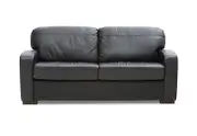 FUTURE Leather 2 Seater Sofa Bed