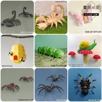 在飛比找蝦皮購物優惠-創意紙模型 模型摺紙 昆蟲 紙模型 家居壁掛牆飾 動物模型 