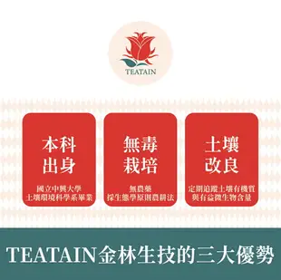 愛戀玫瑰茶時光 玫瑰紅茶 25入 茶葉禮盒│阿薩姆紅茶+台灣山茶的黃金比例