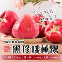 在飛比找ETMall東森購物網優惠-【雪莉朵辣嚴選】黑珍珠蓮霧 3.5斤±5%/箱(特大果12-