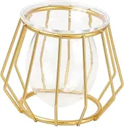 UPKOCH 1Pc Hexagonal Golden Hydroponics Vase Creative Glass Plant Container for Home Decoration Durable Practical Design for Chlorophytum Elegant Table Ornament