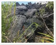 Fissure 17 Oozing Lava Flow Kilauea Volcano 2018 Silver Halide Photo