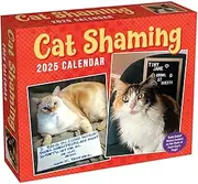 Cat Shaming 2025 Day-To-Day Calendar