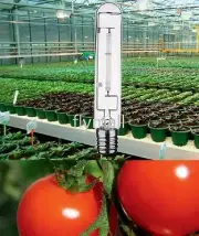 Lot of 3 400w watt Sylvania LU400 HPS MH Plant Vegetable Grow Light Bulb
