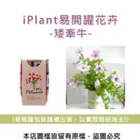 在飛比找松果購物優惠-iPlant易開罐花卉-矮牽牛 (8.5折)