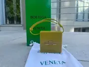 Bottega Veneta , Daisy Acetate Bag in Mirabelle - Gold BNWB OS